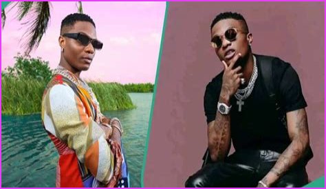 Wizkid Describes His New Kind of Music, Insults His Fans, Many React: